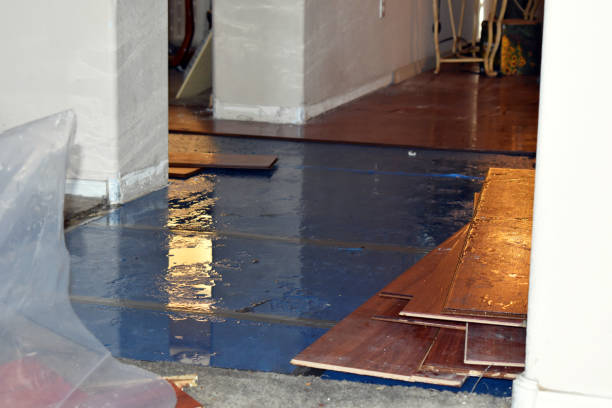 Professional Basement Flood Cleanup technician working in Farwell, MI