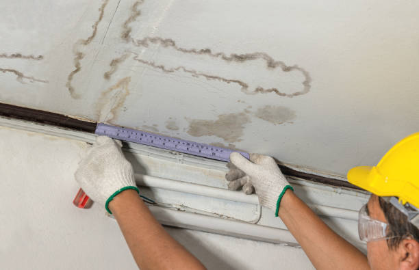 Reliable Basement Flood Cleanup contractor in Farwell, MI by Aqua Guard Water Damage